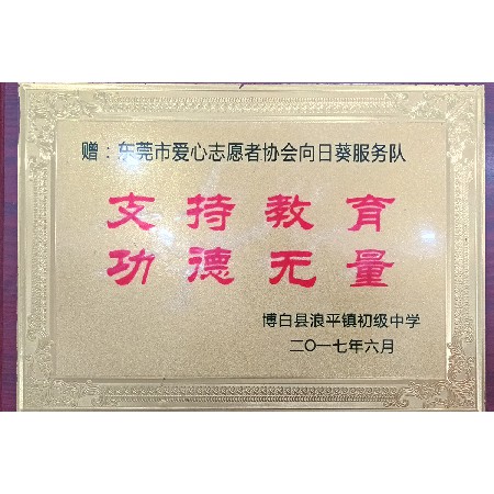 Dongguan Sunflower Student Assistance Service Team - Langping Town Junior High School in Bobai County